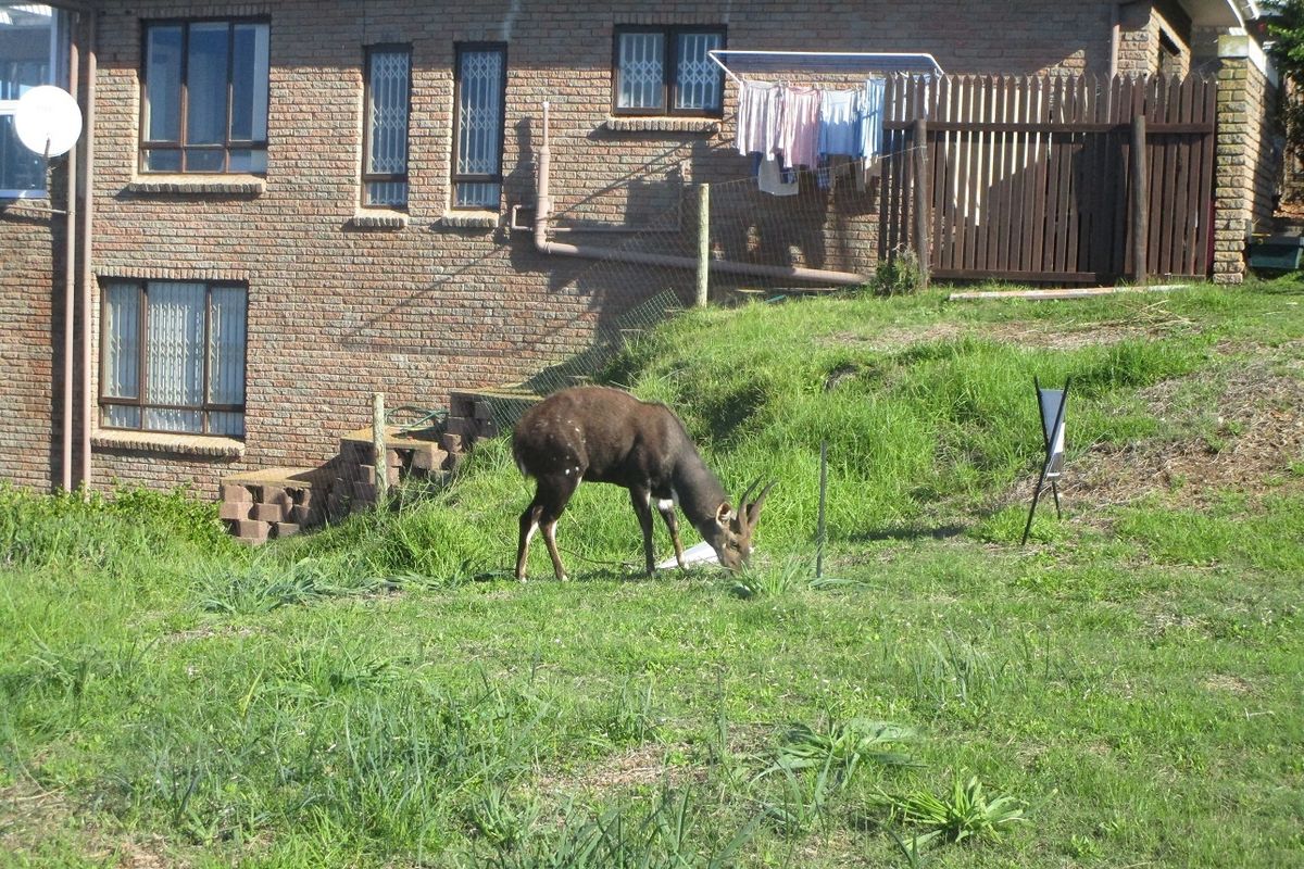 House For Sale In Mossel Bay - Photo 3