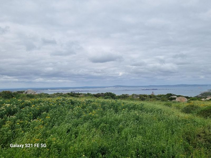 House For Sale In Saldanha - Photo 10