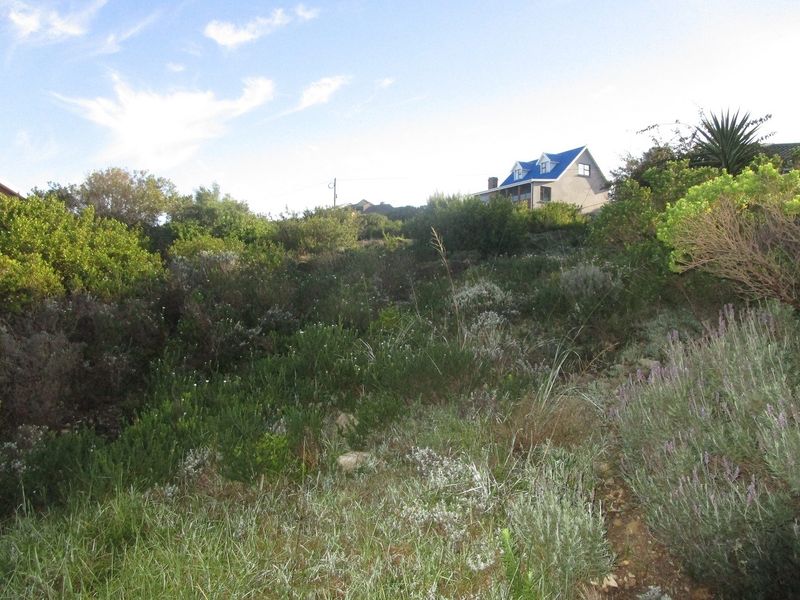 Vacant Land For Sale In Mossel Bay - Photo 3