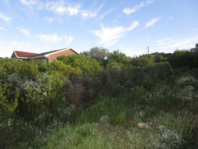 Vacant Land For Sale In Mossel Bay - Photo 4