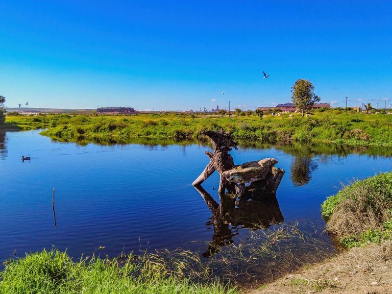 Vacant Land For Sale In Saldanha - Photo 4