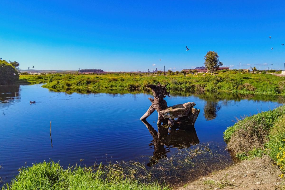 A scenic view of a natural pond and surrounding wetland area, showcasing the tranquil landscape of the vacant residential property.