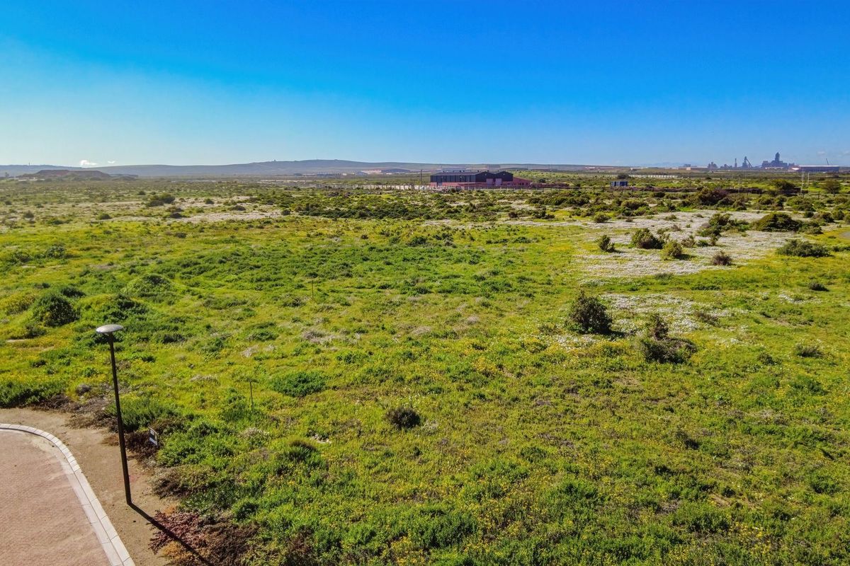 An elevated aerial view of a large, undeveloped residential plot featuring natural vegetation and a paved street verge.