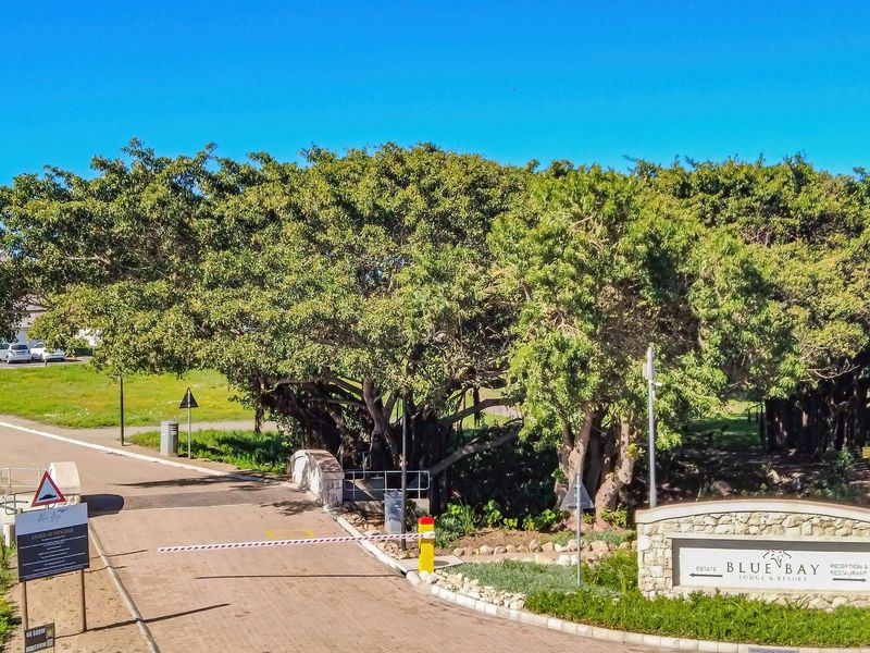 Vacant Land For Sale In Saldanha - Photo 2