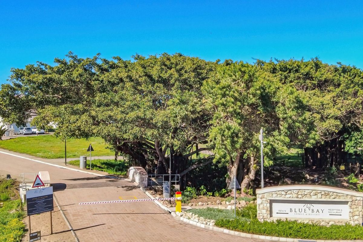 Entrance view of Blue Bay Estate featuring a paved driveway, security boom gate, and stone signage wall surrounded by mature trees and landscaping.