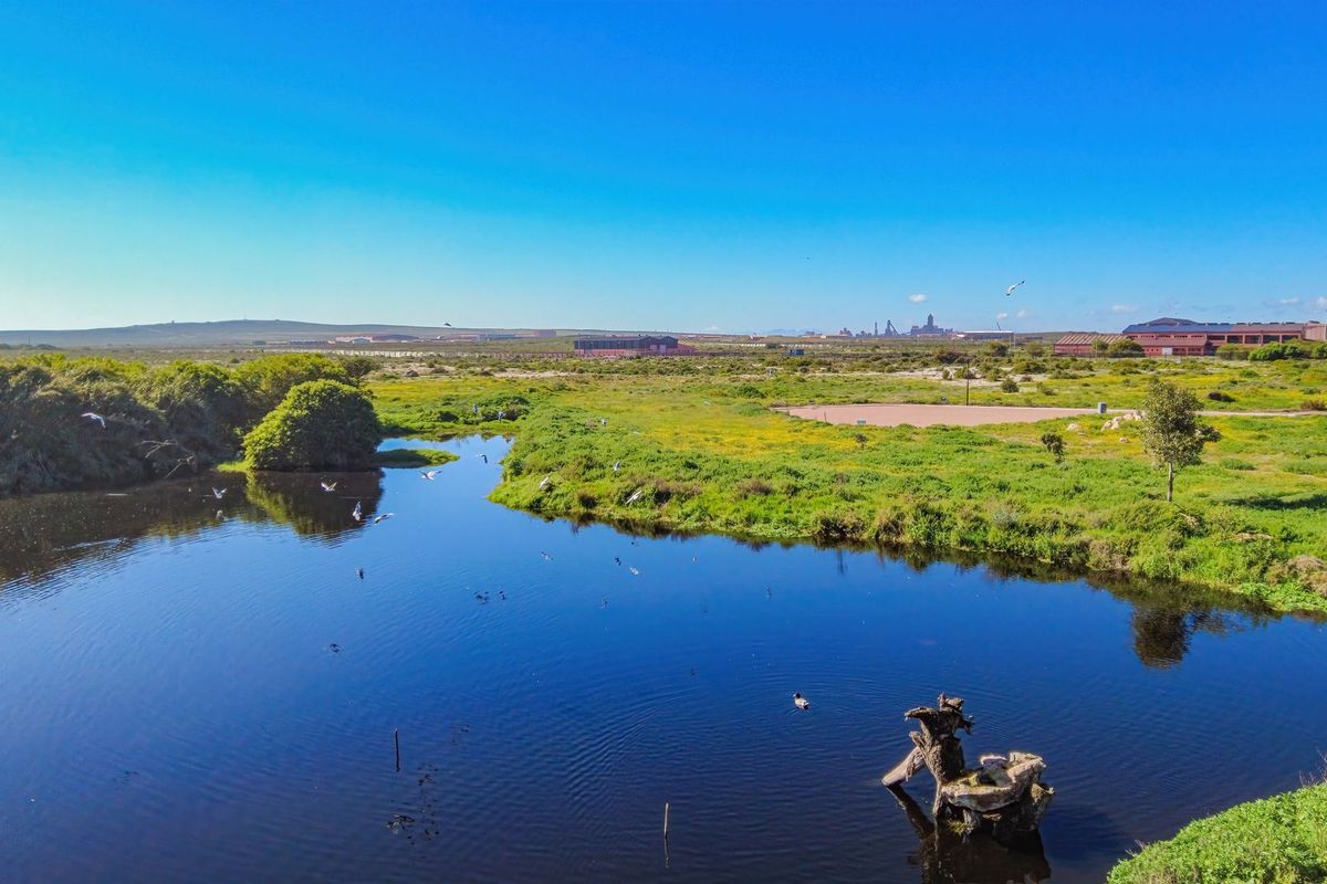 An aerial view of a natural wetland area featuring a calm water body surrounded by lush green vegetation and open landscape.