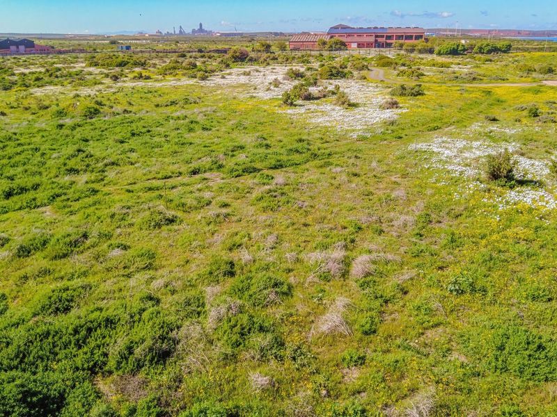 Vacant Land For Sale In Saldanha - Photo 9