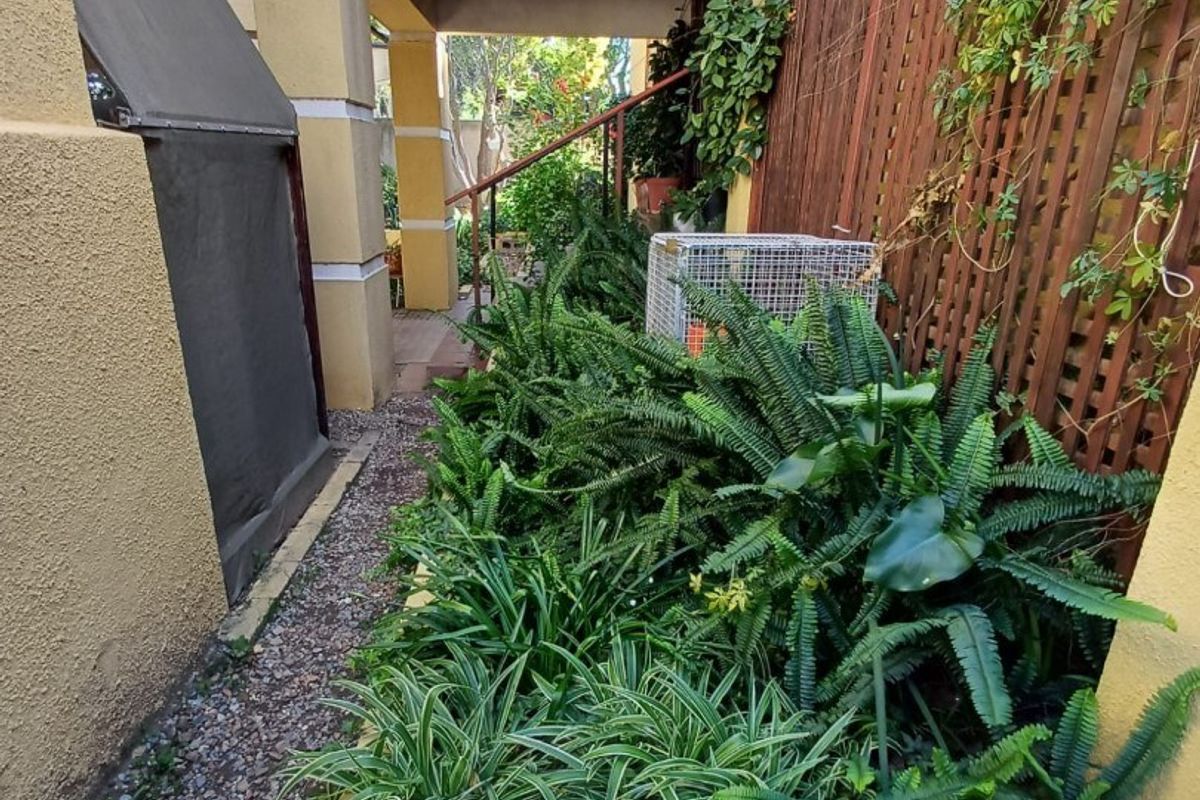 A narrow side garden path featuring a raised planter bed, timber trellis screening, and a covered walkway leading to the rear of the property.