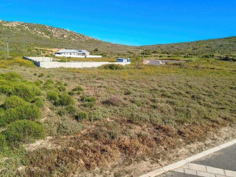 A view of a vacant residential plot featuring natural vegetation, a paved road frontage, and a partial concrete block boundary wall.