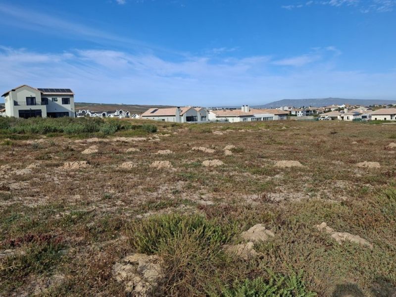 A view of a vacant residential plot featuring natural vegetation with surrounding established homes in the background.