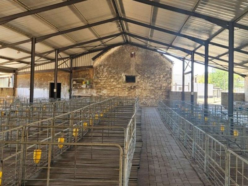 Large agricultural utility shed featuring a metal roof structure, steel support columns, and multiple fixed livestock pens with integrated water dispensers.