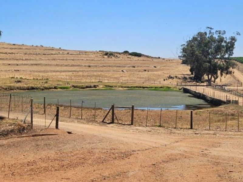A scenic view of a farm dam, gravel access road, and surrounding vineyard landscape on a rural property.