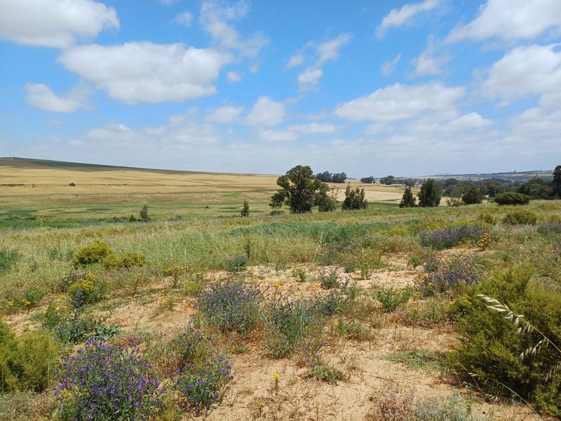 A scenic view of open rural landscape and rolling fields under a clear blue sky.