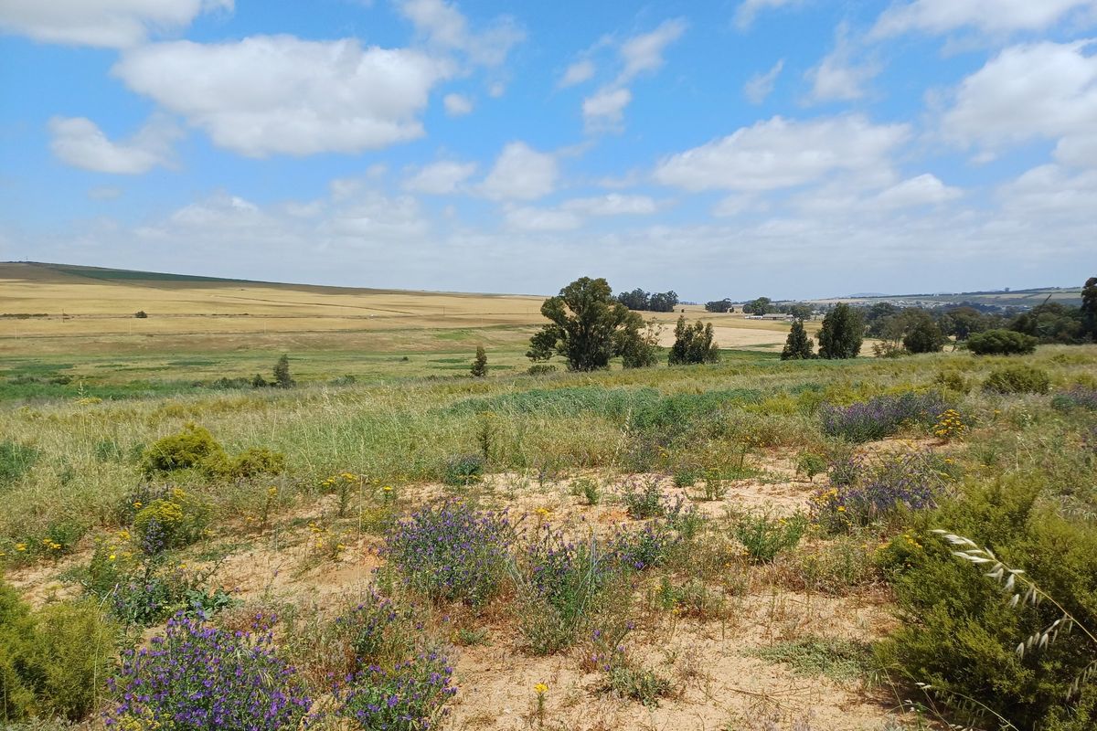 A scenic view of open rural landscape and rolling fields under a clear blue sky.