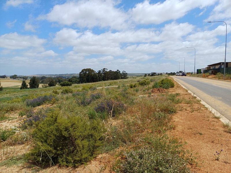 A view of the asphalt road and street lighting infrastructure adjacent to the industrial property, overlooking the surrounding landscape.