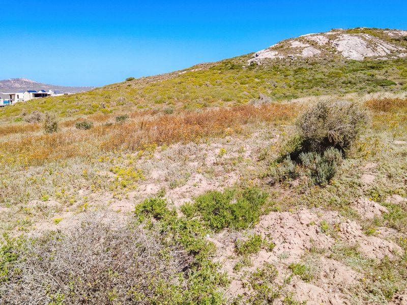 A scenic view of the vacant residential land featuring natural coastal vegetation and rocky terrain under a clear blue sky.