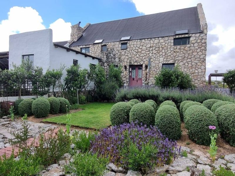 Charming stone-clad house featuring a pitched metal roof, skylights, and a beautifully landscaped front garden with manicured shrubs and stone pathways.