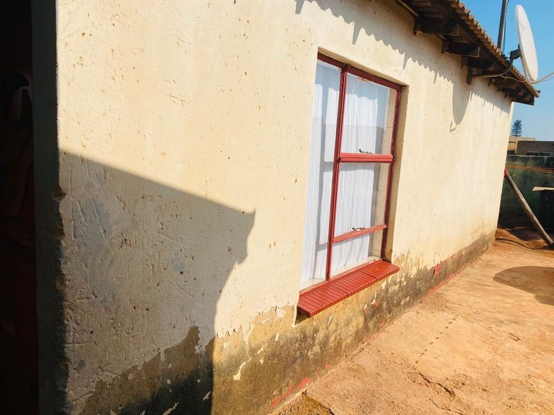 Exterior view of the rear wall showing significant signs of rising damp, peeling paint, and weathered plaster finishes around the metal window frame.