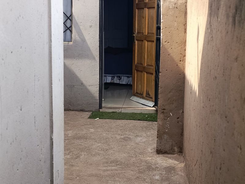 A narrow exterior rear passage featuring concrete paving, a boundary wall, and a timber entrance door with a security gate.