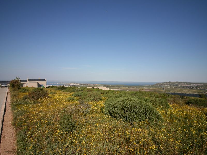 A wide-angle view of a vacant residential plot featuring natural coastal vegetation, adjacent paved road access, and distant ocean views.
