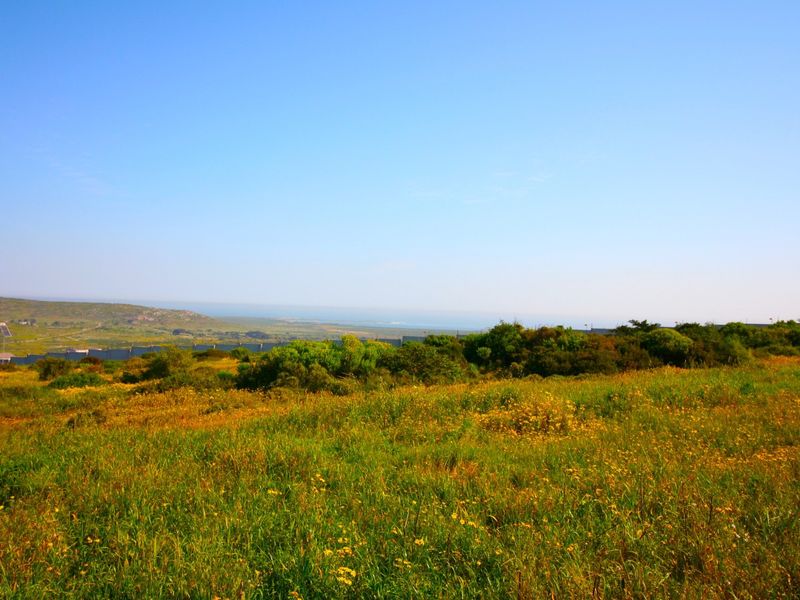 A scenic view of the natural landscape and surrounding terrain, showcasing the open space and vegetation of the vacant residential land.