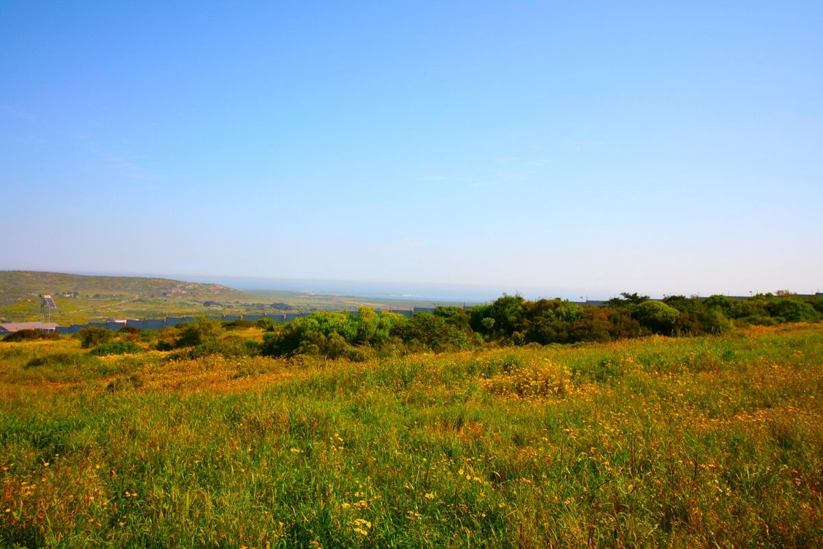 A scenic view of the natural landscape and surrounding terrain, showcasing the open space and vegetation of the vacant residential land.
