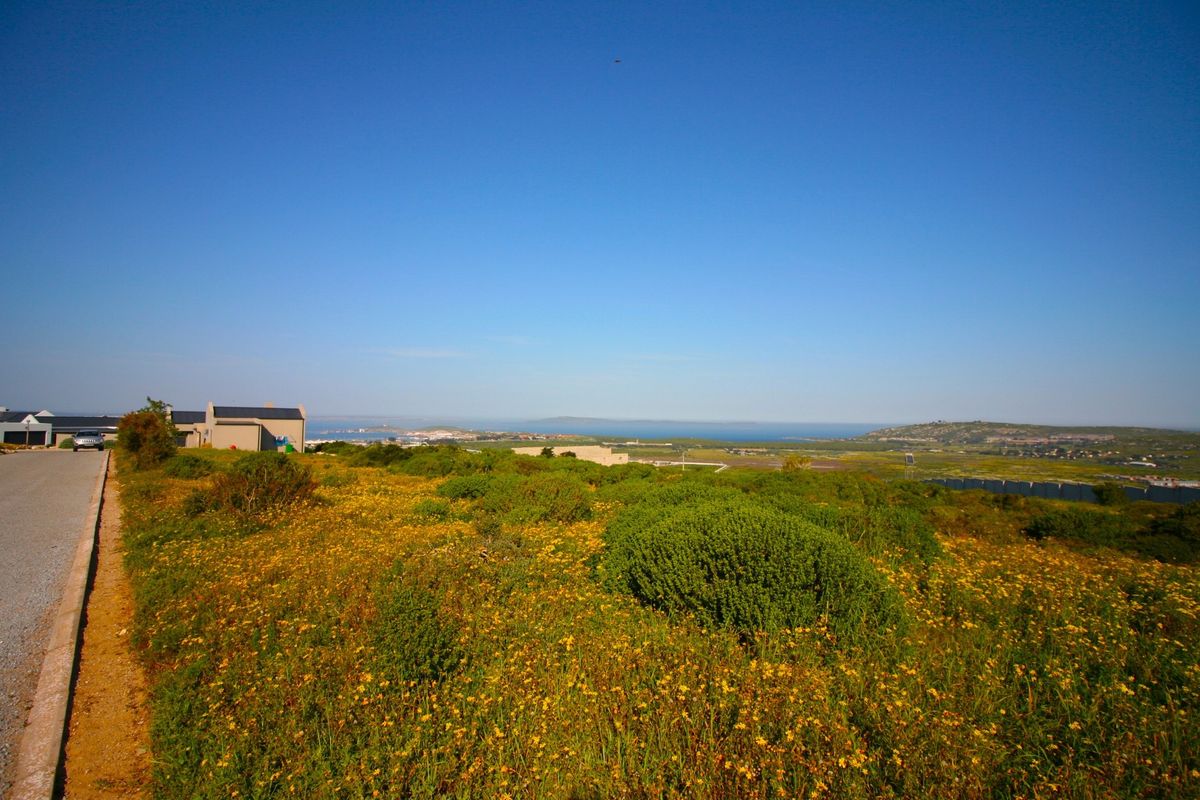 A scenic view overlooking a natural landscape with native vegetation, distant coastal horizon, and adjacent residential street access.