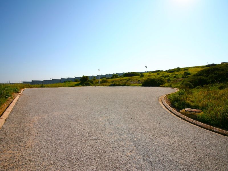 A view of a paved residential street with concrete curbing, stormwater drainage, and street lighting, bordering an undeveloped grassy plot.
