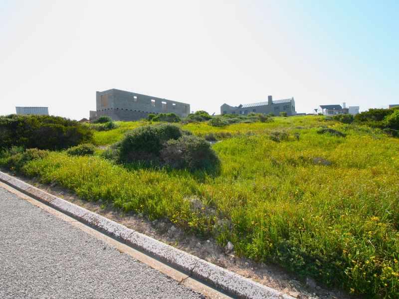 A street-level view of a vacant residential plot featuring natural vegetation, adjacent to an asphalt road with concrete curbing.