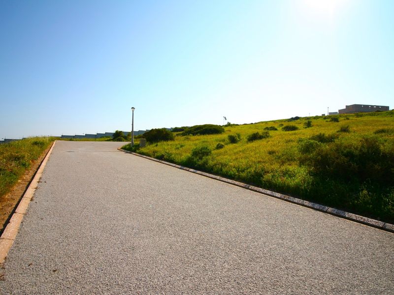 A paved residential street leading through an open, grassy landscape with established curbing and street lighting.