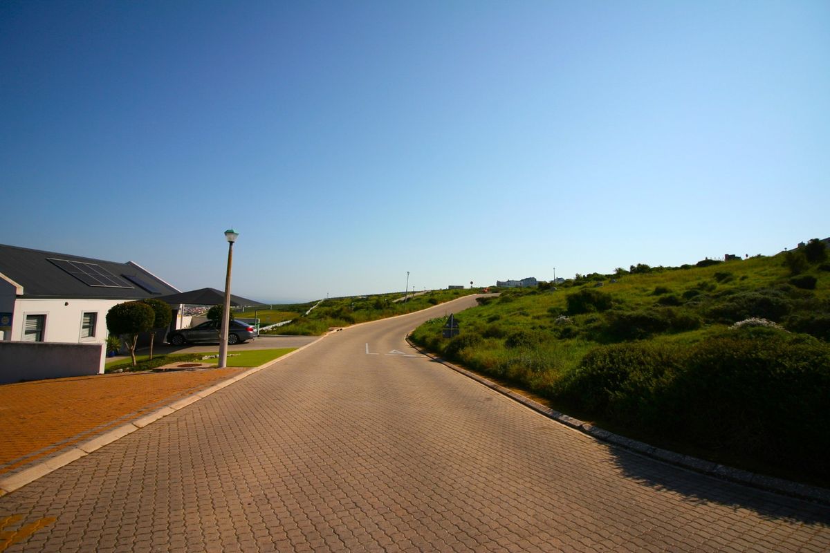 A view of the paved residential street and surrounding landscape within the estate.