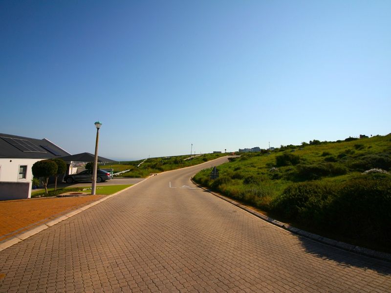 A view of the paved residential street and surrounding landscape within the estate.