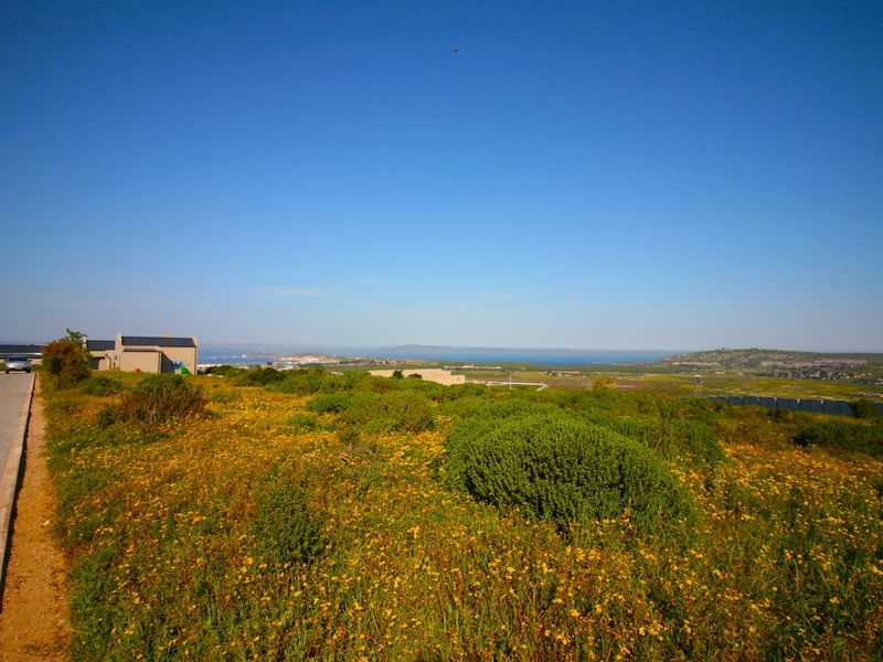 A scenic view overlooking a natural landscape with native vegetation, distant coastal horizon, and adjacent residential street access.