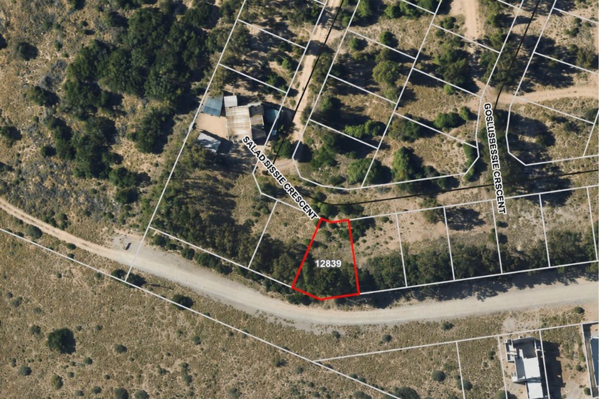 An aerial view showing the vacant residential plot marked 12839, situated along Salad Bissie Crescent with surrounding natural vegetation and established road access.