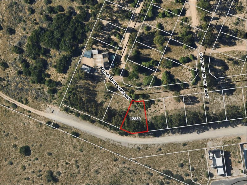 An aerial view showing the vacant residential plot marked 12839, situated along Salad Bissie Crescent with surrounding natural vegetation and established road access.