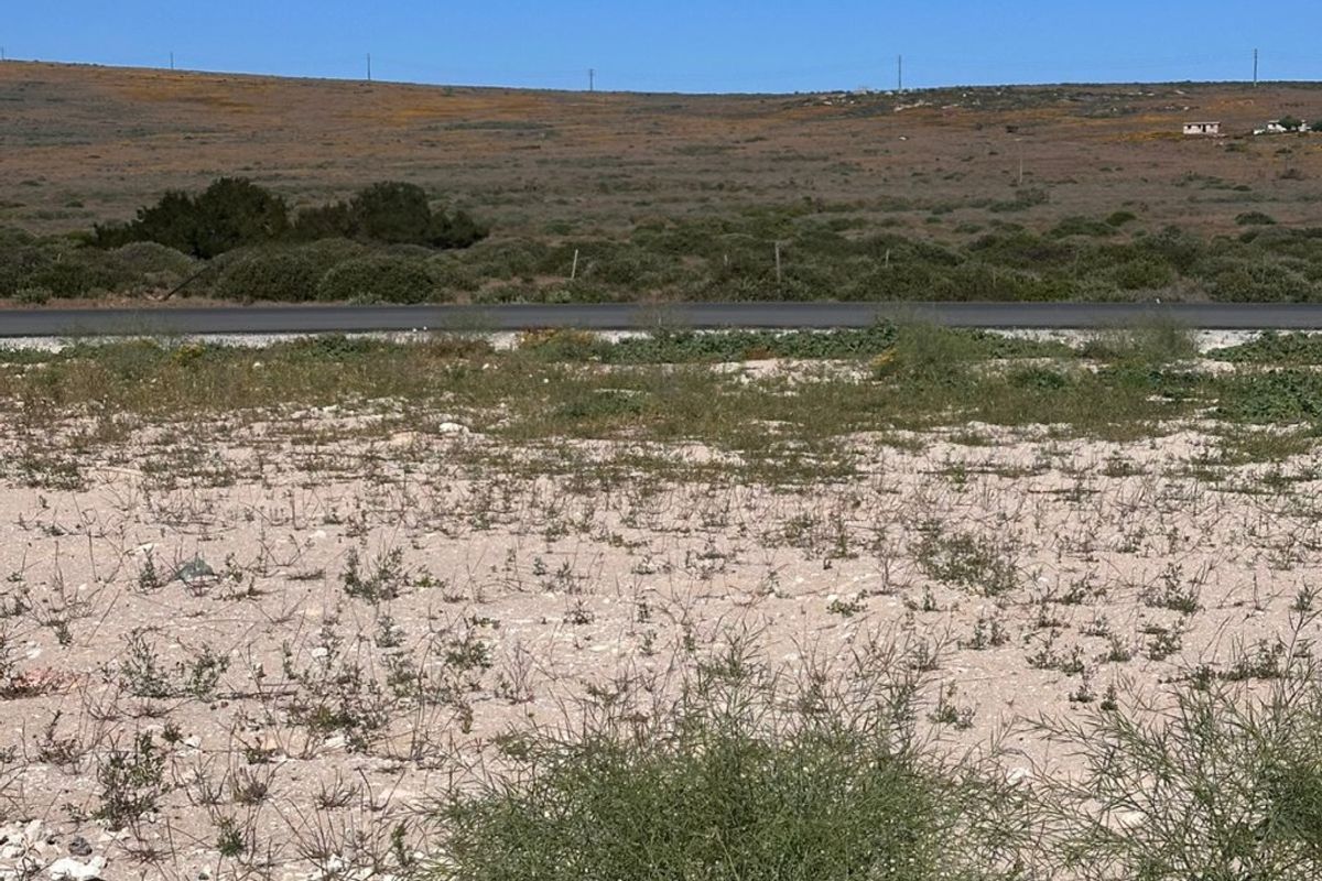 A view of the vacant residential land featuring natural vegetation and a nearby paved road with a scenic landscape backdrop.