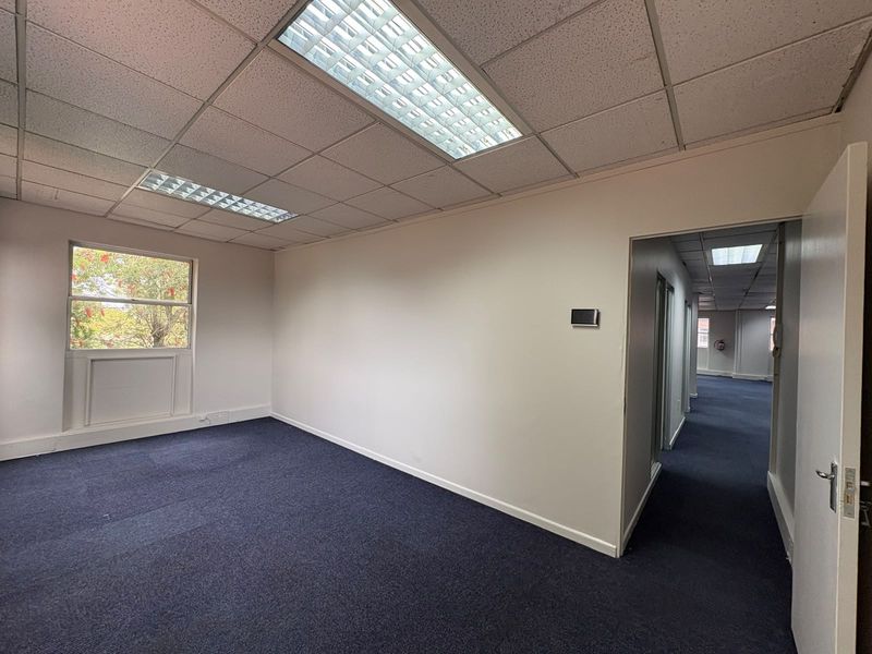 A vacant commercial office space featuring blue carpeting, a suspended ceiling with recessed lighting, and a view through a single window.