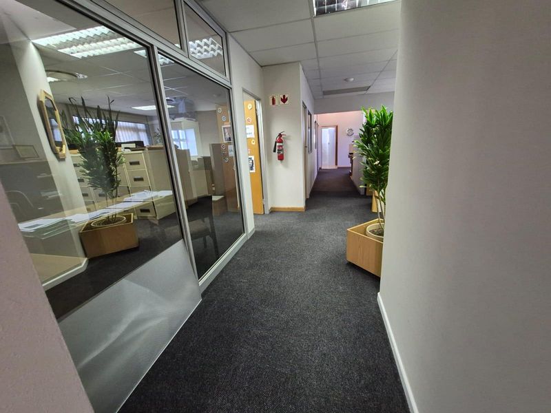 A commercial office hallway featuring carpeted flooring, glass partitions, and a suspended ceiling with recessed lighting.