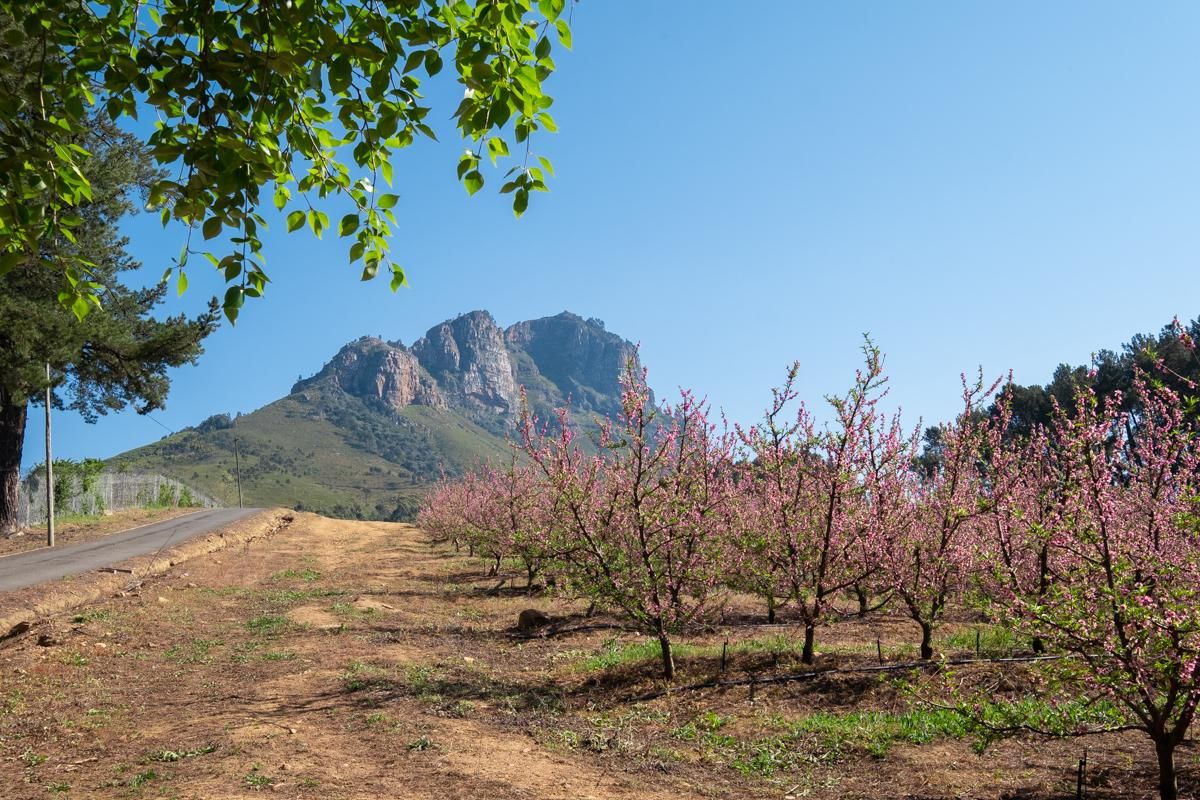 Breathtaking Views Over Helshoogte And Banhoek Valley - Photo 2