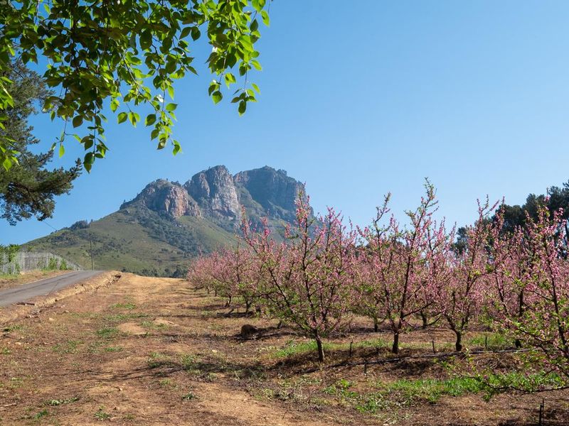 Breathtaking Views Over Helshoogte And Banhoek Valley - Photo 2