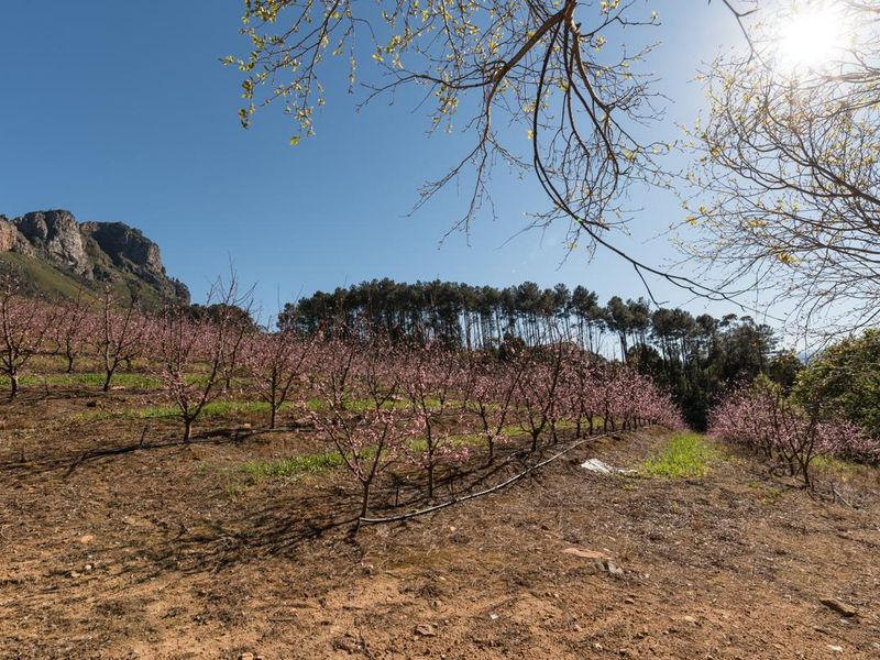 Breathtaking Views Over Helshoogte And Banhoek Valley - Photo 7