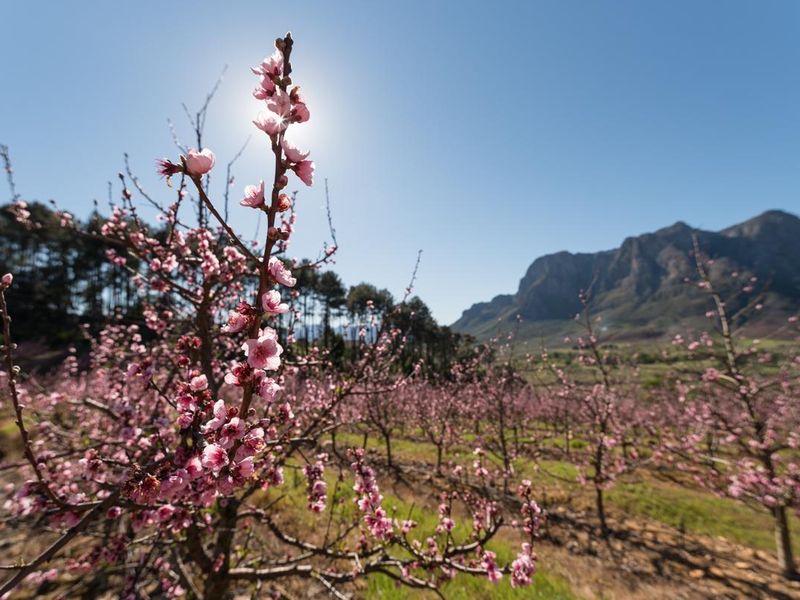 Breathtaking Views Over Helshoogte And Banhoek Valley - Photo 6