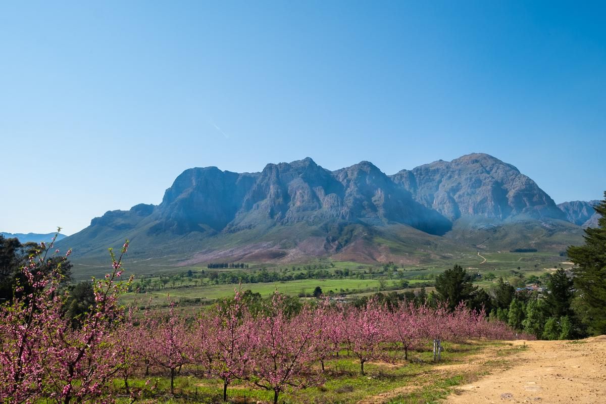 Breathtaking Views Over Helshoogte And Banhoek Valley - Photo 4