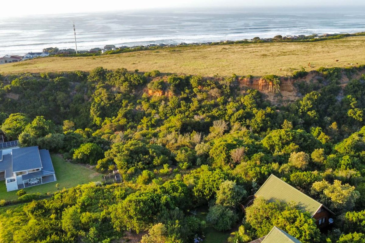 Aerial view of a coastal residential property featuring lush natural vegetation, established trees, and proximity to the ocean coastline.