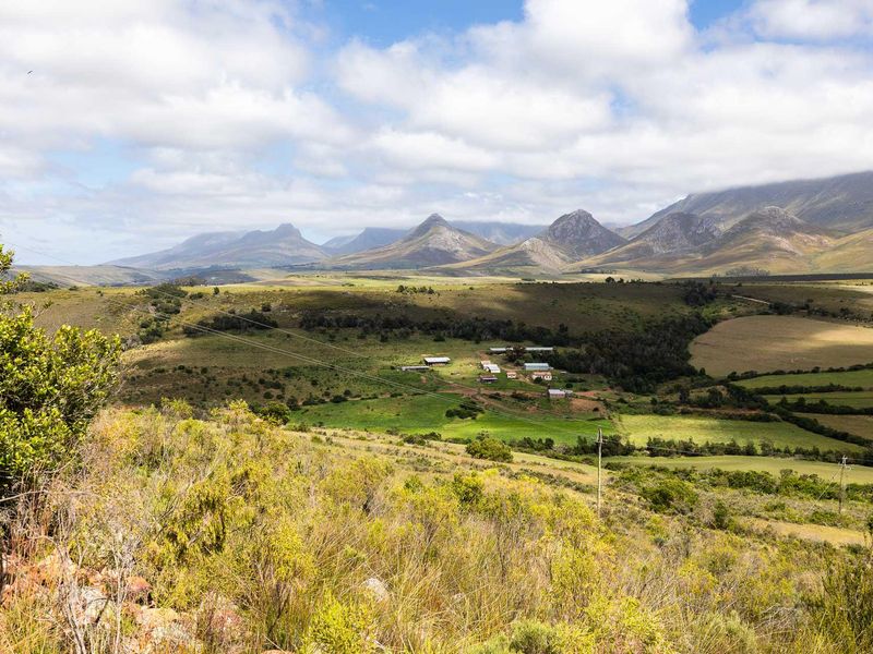 BEAUTIFUL IRRIGATION FARM AT THE FOOT of the LANGEBERG MOUNTAINS CLOSE to ALBERTINIA - Photo 7