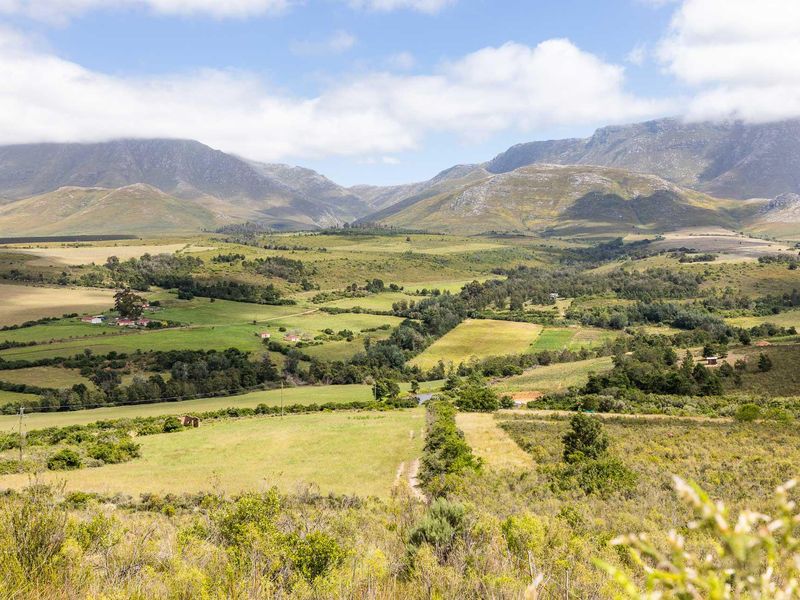 BEAUTIFUL IRRIGATION FARM AT THE FOOT of the LANGEBERG MOUNTAINS CLOSE to ALBERTINIA - Photo 6