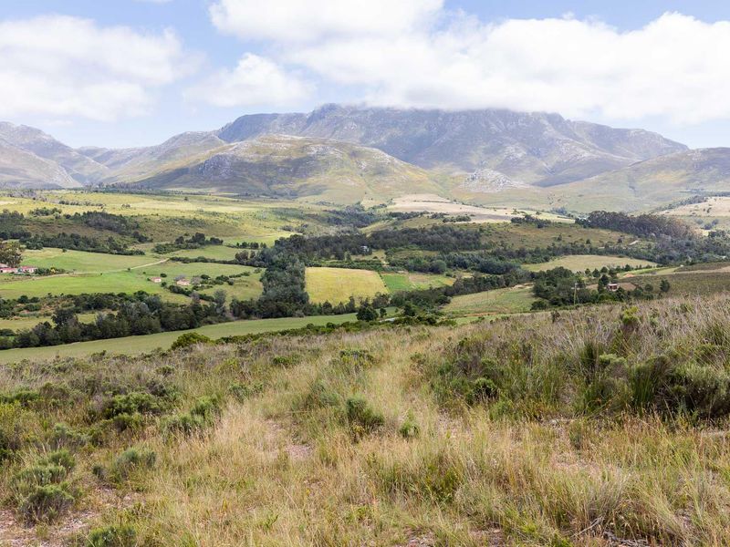 BEAUTIFUL IRRIGATION FARM AT THE FOOT of the LANGEBERG MOUNTAINS CLOSE to ALBERTINIA - Photo 10