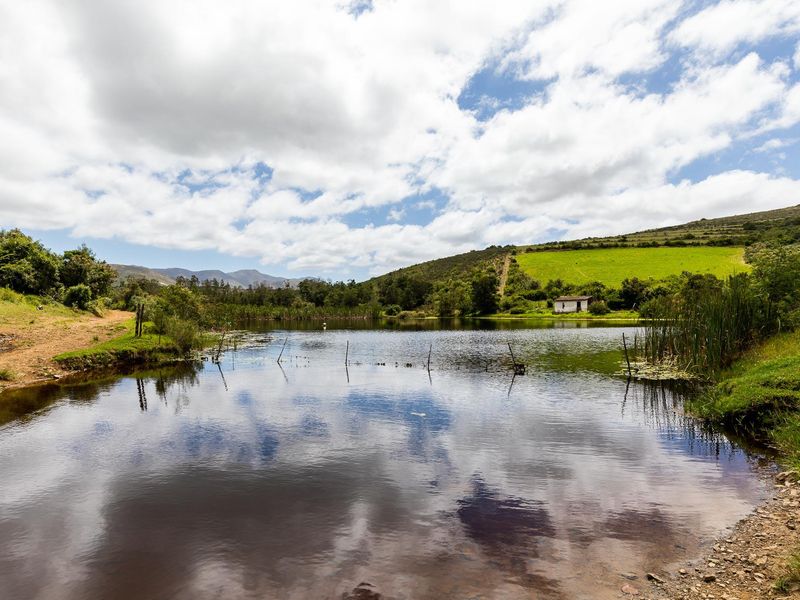 BEAUTIFUL IRRIGATION FARM AT THE FOOT of the LANGEBERG MOUNTAINS CLOSE to ALBERTINIA - Photo 1