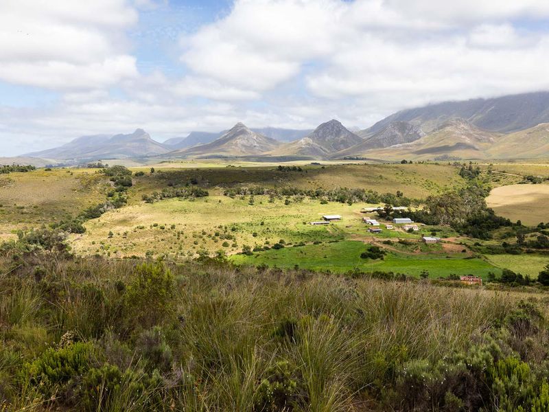 BEAUTIFUL IRRIGATION FARM AT THE FOOT of the LANGEBERG MOUNTAINS CLOSE to ALBERTINIA - Photo 9