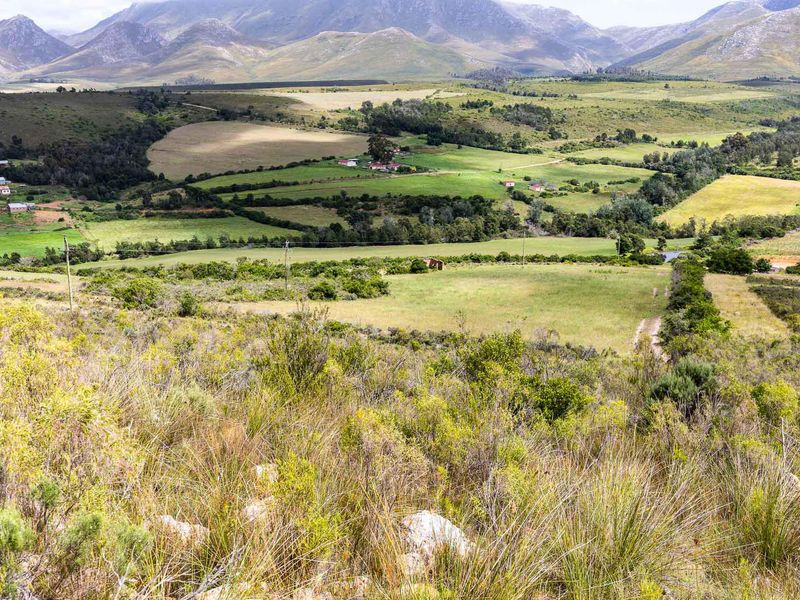 BEAUTIFUL IRRIGATION FARM AT THE FOOT of the LANGEBERG MOUNTAINS CLOSE to ALBERTINIA - Photo 8